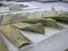 thumbnail of Item 1 Title