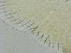 thumbnail of Item 1 Title