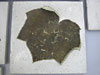 thumbnail of Item 1 Title