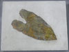 thumbnail of Item 1 Title